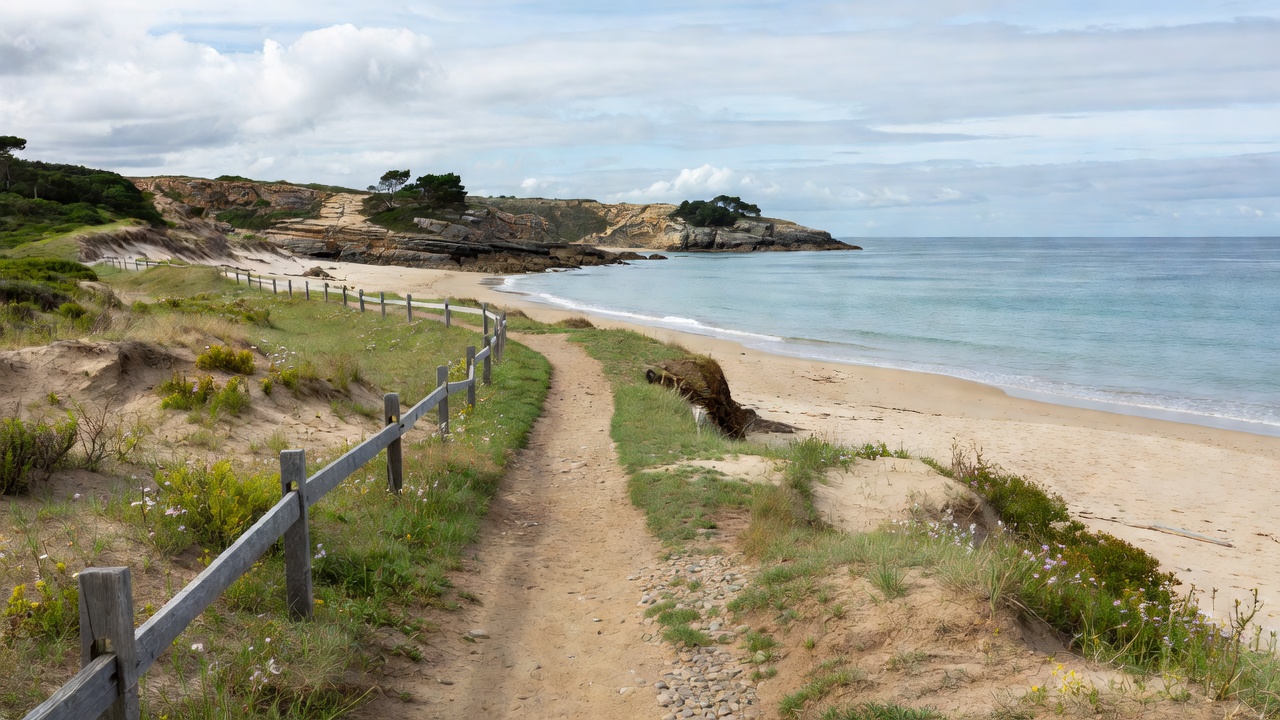 Quiet coastal landscape viewed from an established public path